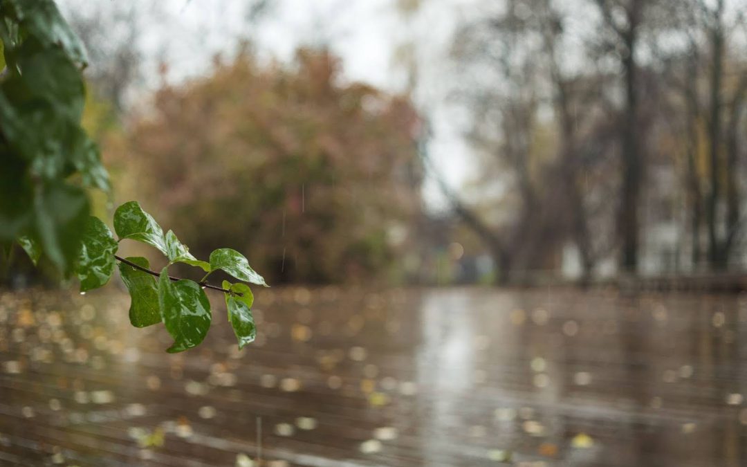 6 Common HVAC Issues in Humid Climates