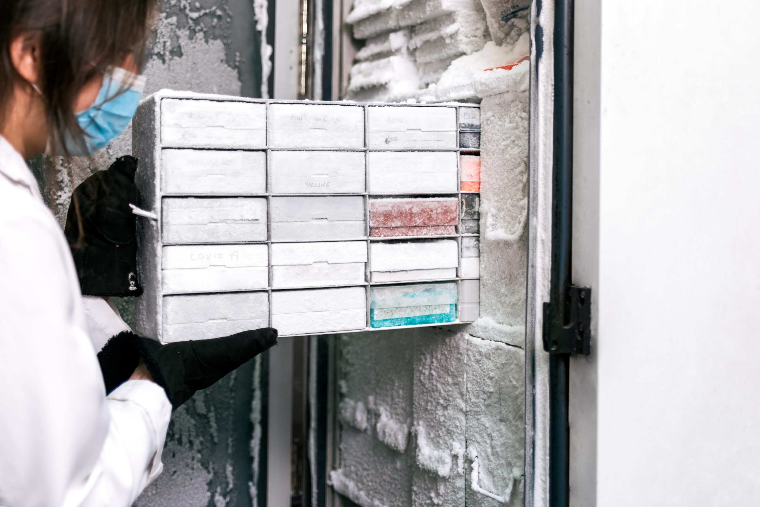 Walk-In Freezer Installation | Air Services Refrigeration Specialties, Inc. | Commercial Refrigeration & Commercial HVAC Services